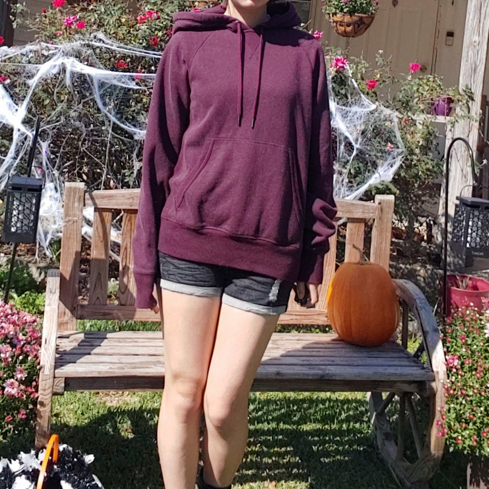 CLEANOUT SALE Super Soft Purple Hoodie